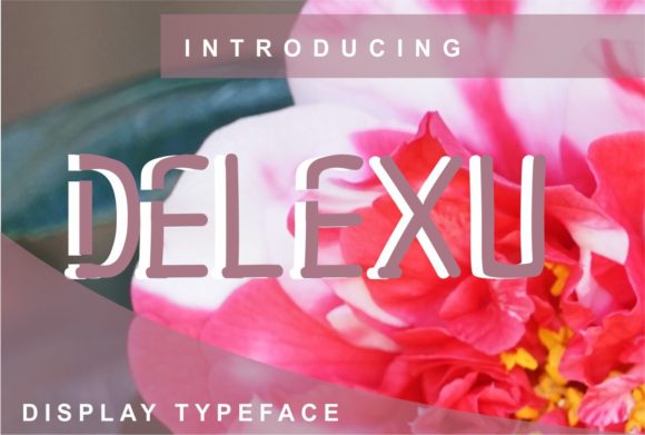 Delexu Font Evaluation