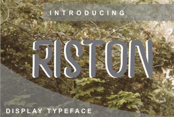The Strategic Value of Riston: Elevating Brand Identity Through Adaptive Typography
