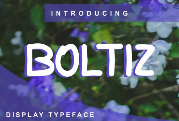 Why Boltiz Is the Quiet Powerhouse Your Design Projects Need