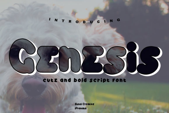 Why Genesis Font Is the Ultimate Choice for Friendly, Approachable Design
